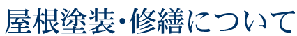 屋根塗装・修繕について